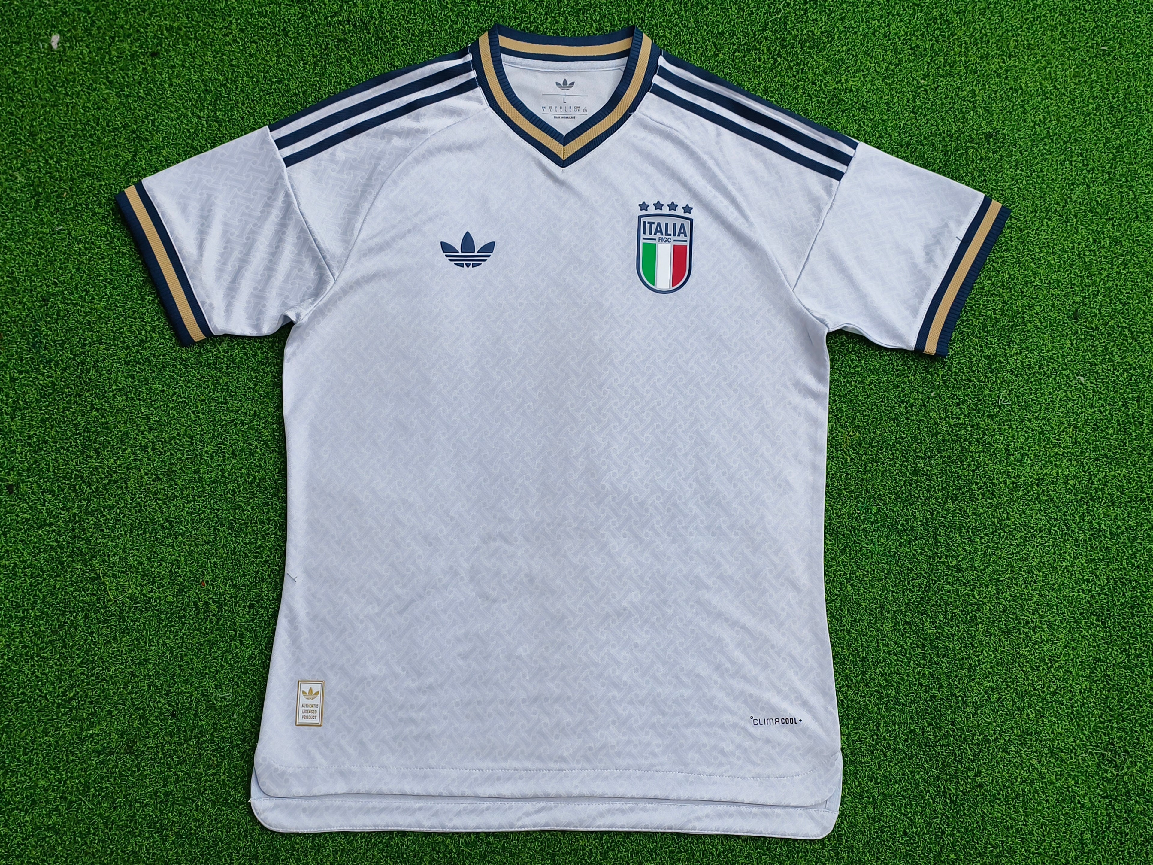 Italie Extérieur Pas A La Coupe Du Monde 2026