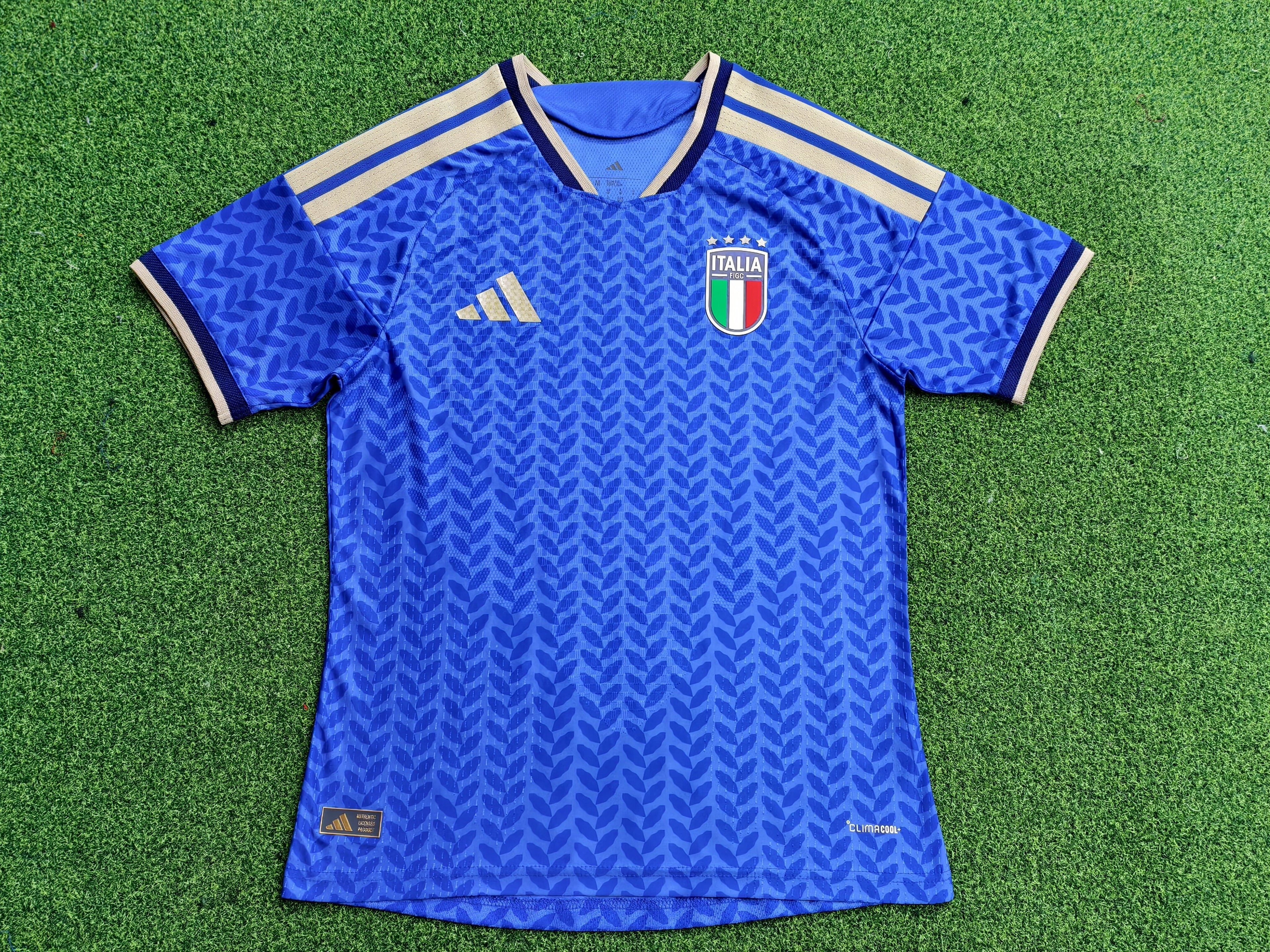 Italie Domicile Pas A La Coupe Du Monde 2026