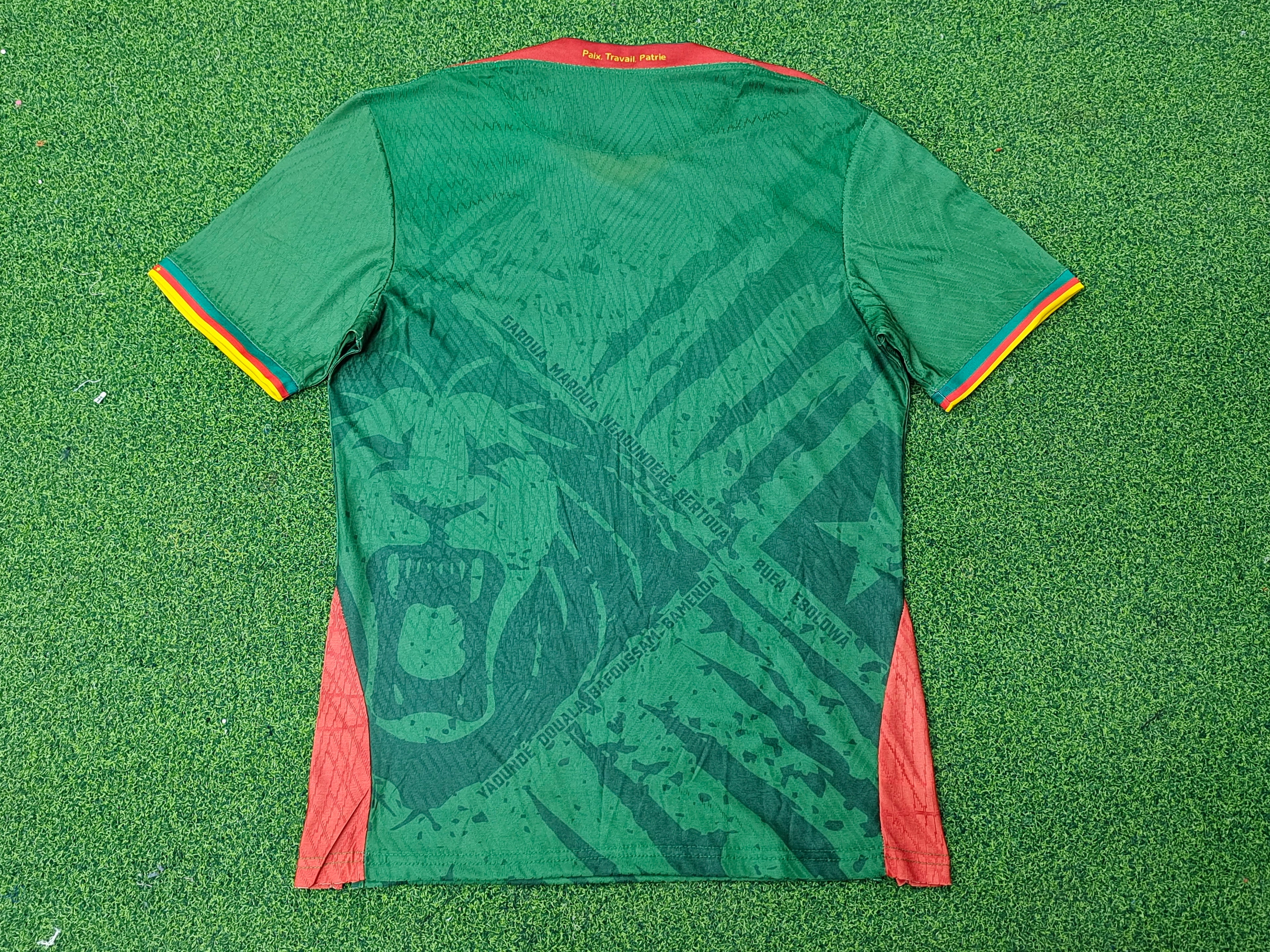 Cameroun Domicile Coupe Du Monde 2026