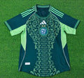 Algérie Maillot Concept Vert 24-25