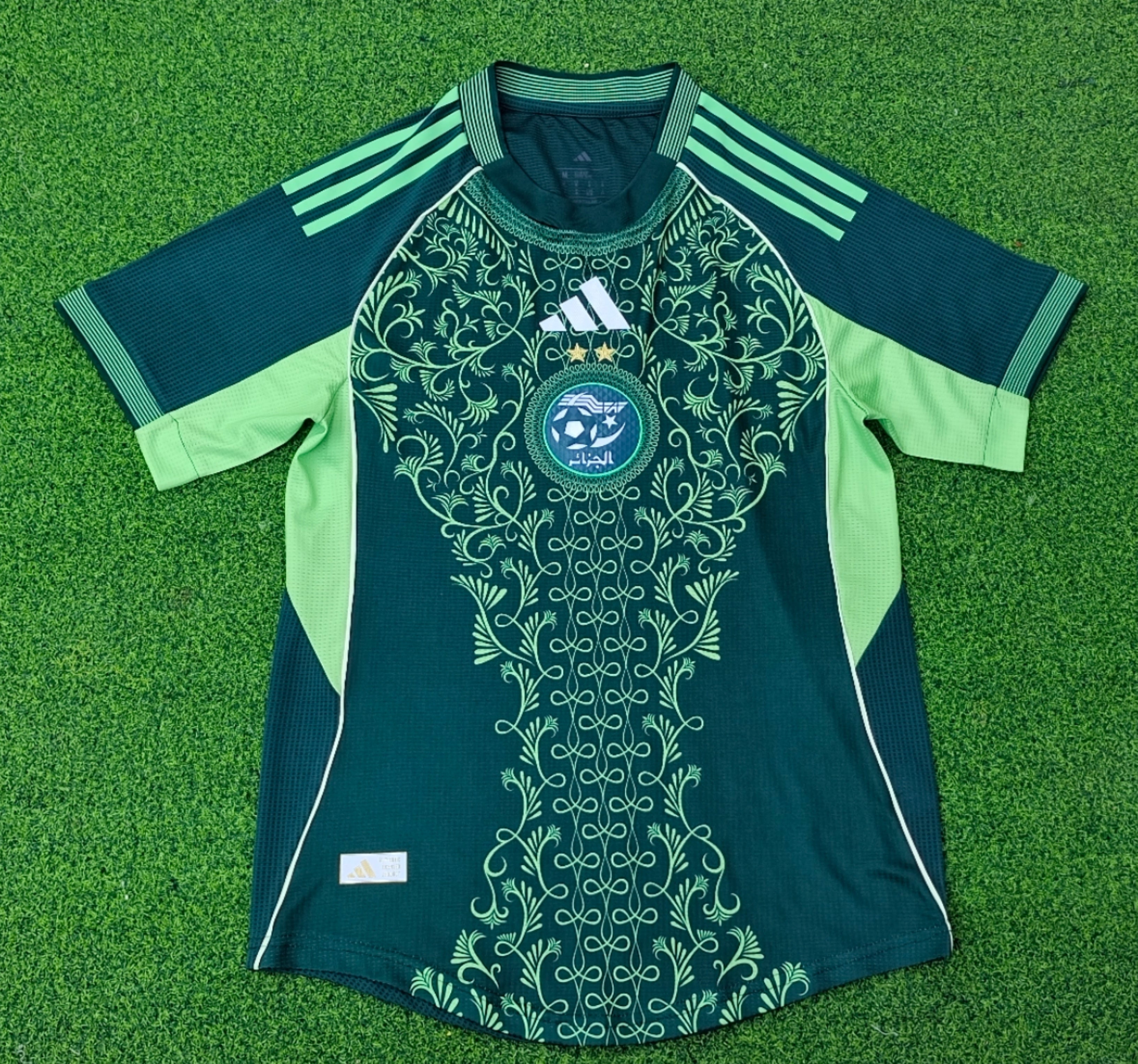 Algérie Maillot Concept Vert 24-25